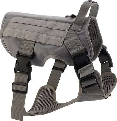 Academy Sports + Outdoors Dog Harness