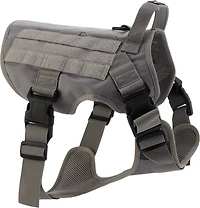 Academy Sports + Outdoors Dog Harness