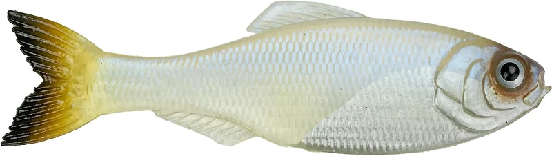 6th Sense Panorama 5 Soft Baits 3-Pack