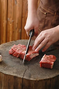 WatchFire Stozer Butcher Knife