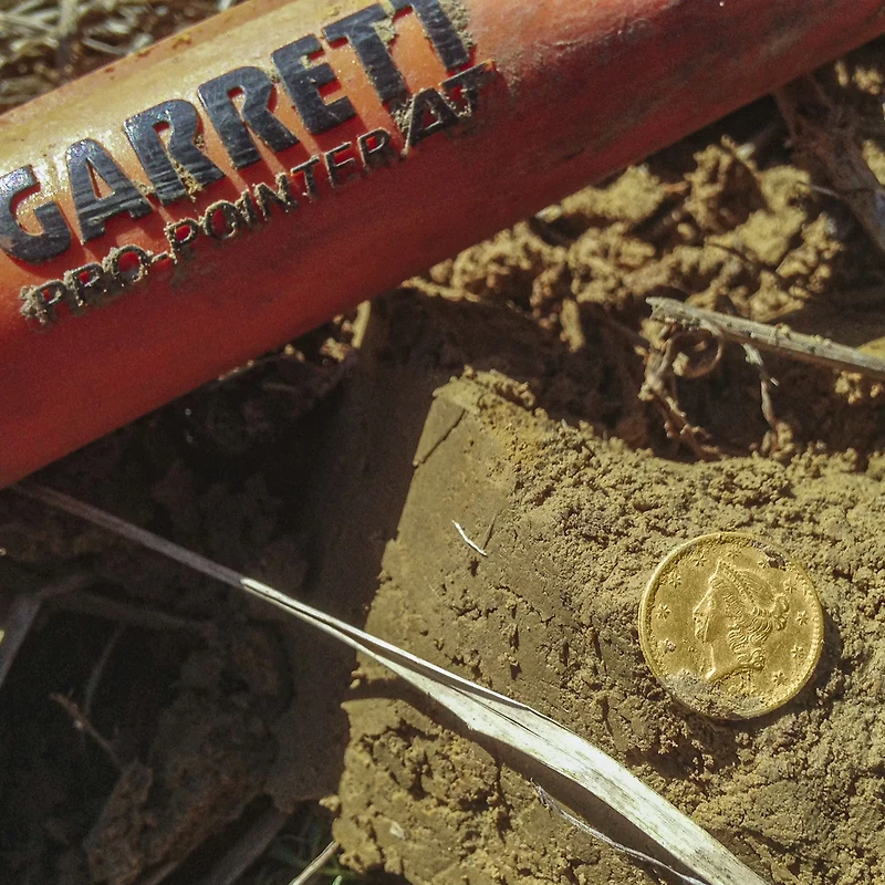 Garrett Pro-Pointer AT Pinpointer