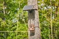 Moultrie Mobile 3.4W Universal Solar Power Pack