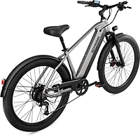 Schwinn Coston CE E-Bike