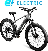 Schwinn Coston CE E-Bike