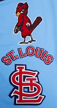 Pro Standard Men's St. Louis Cardinals Retro Classic Striped T-shirt