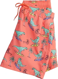 Burnside Men’s Dinosaurs Volley Swim Shorts