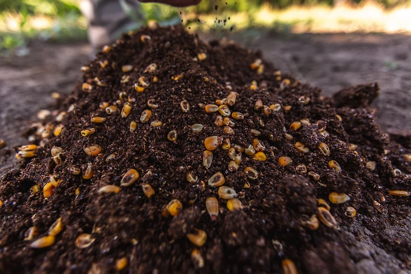 Buck Bourbon 110 Proof Deer Attractant 8 lb Bag