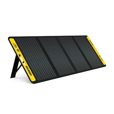 Champion 120 W Portable Solar Panel