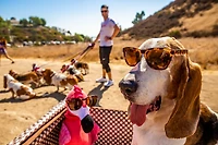 goodr OG Classic Frame Sunglasses