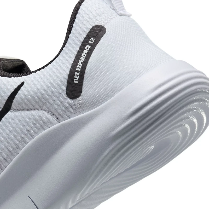 Nike Men's Flex Experience 12 Shoes