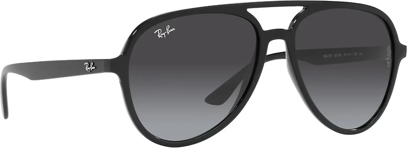 Ray-Ban Adults' RB4376 Sunglasses