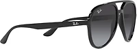 Ray-Ban Adults' RB4376 Sunglasses