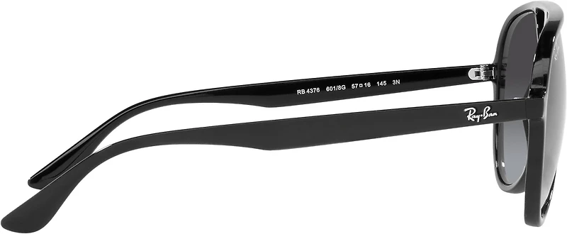Ray-Ban Adults' RB4376 Sunglasses