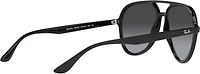 Ray-Ban Adults' RB4376 Sunglasses