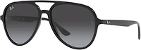 Ray-Ban Adults' RB4376 Sunglasses