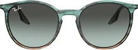 Ray-Ban Adults' 0Rb2204 Sunglasses