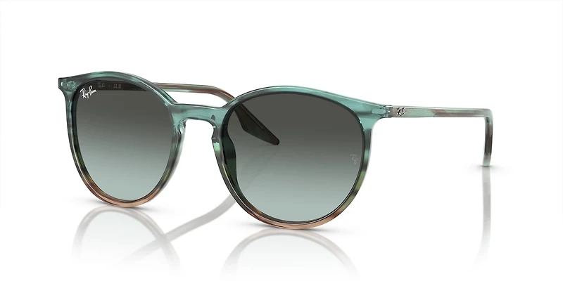 Ray-Ban Adults' 0Rb2204 Sunglasses