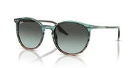 Ray-Ban Adults' 0Rb2204 Sunglasses