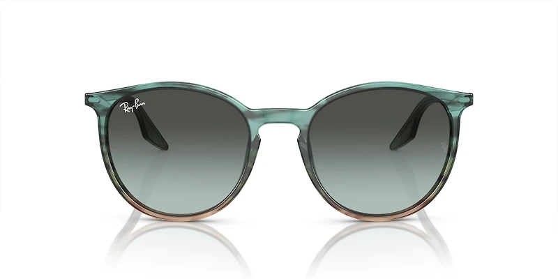 Ray-Ban Adults' 0Rb2204 Sunglasses