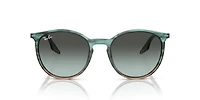 Ray-Ban Adults' 0Rb2204 Sunglasses