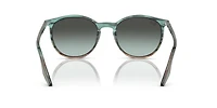 Ray-Ban Adults' 0Rb2204 Sunglasses