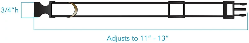 Pendleton Zion National Park Adventure Collar