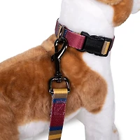Pendleton Zion National Park Adventure Collar