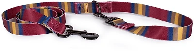 Pendleton Zion National Park Adventure Leash 3/4 in