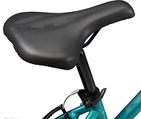 Schwinn Women's Network 1 700c Road Bike