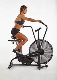 Assault Bike Classic