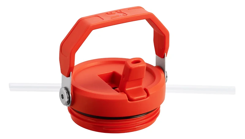 Stanley The IceFlow 30 oz Classic Flip Straw Tumbler