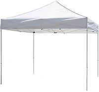 Z-Shade Alta 10 ft x 10 ft Canopy