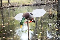 MOJO Mallard Drake Decoy