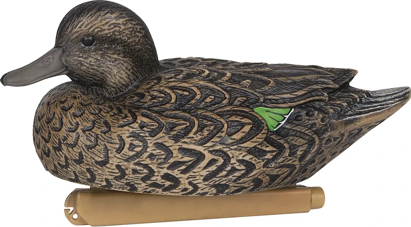 Zink Calls Green Wing Teal Decoys 6-Pack