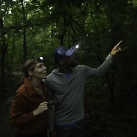 Bushnell Power+ 500 Lumen Headlamp