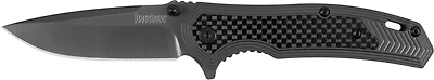 Kershaw Fringe Assisted Folding Knife