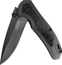 Kershaw Fringe Assisted Folding Knife