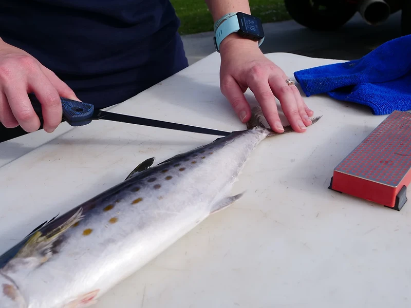 Cuda 6 in Professional Fillet Knife