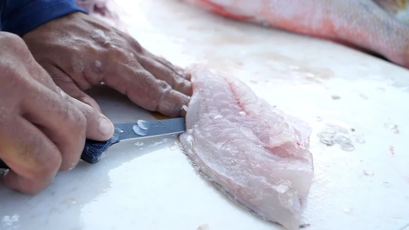 Cuda 6 in Professional Fillet Knife