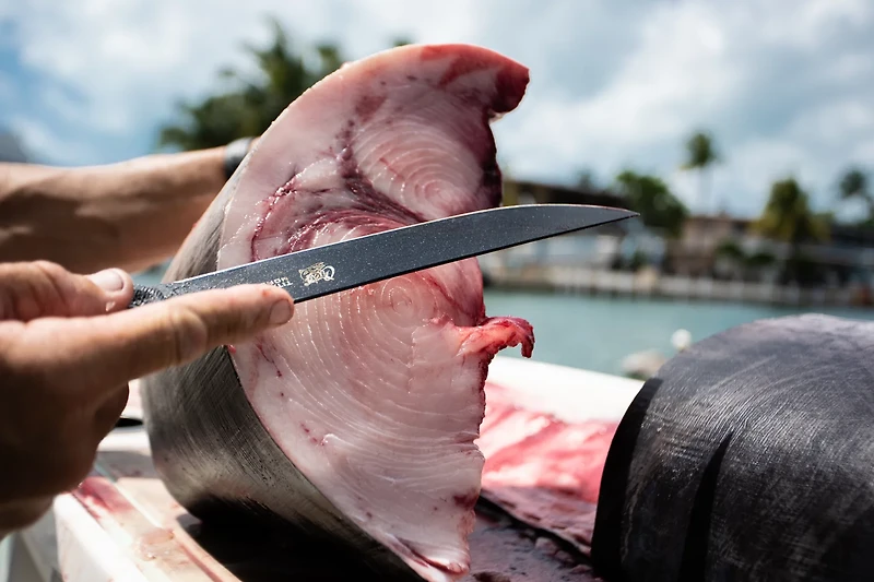 Cuda 7 in Professional Wide Semi-Flex Fillet Knife with Micarta Handle