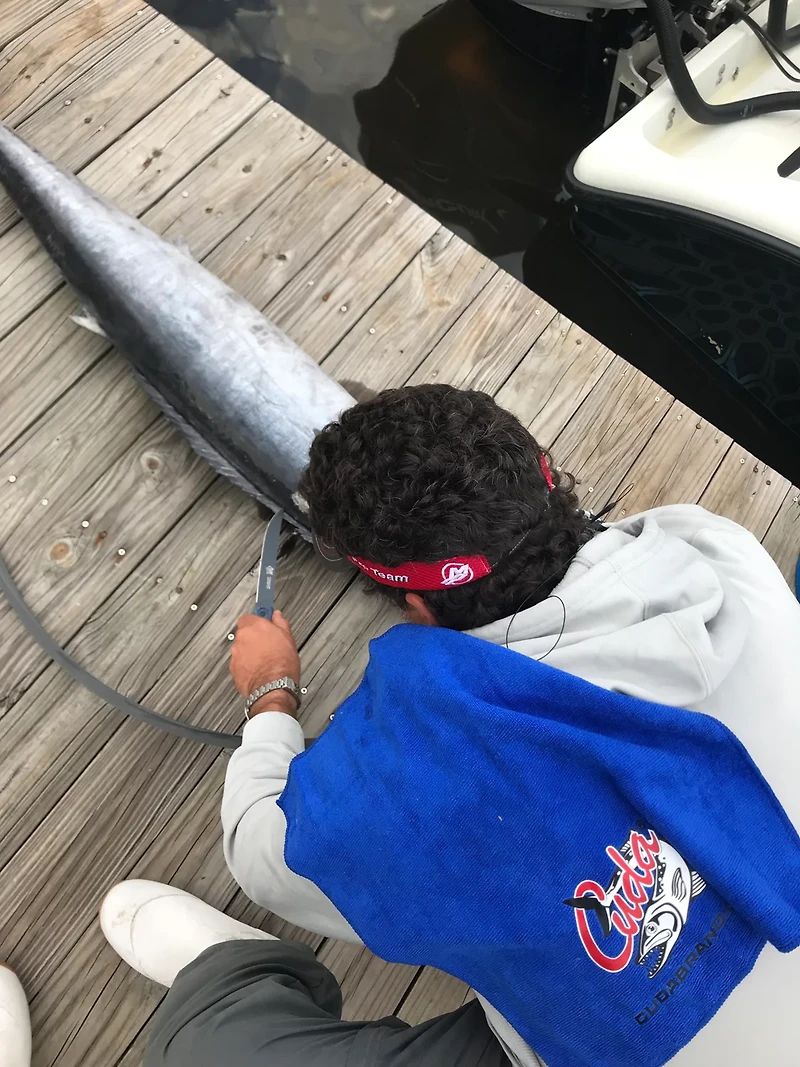 Cuda 7 in Professional Wide Semi-Flex Fillet Knife with Micarta Handle