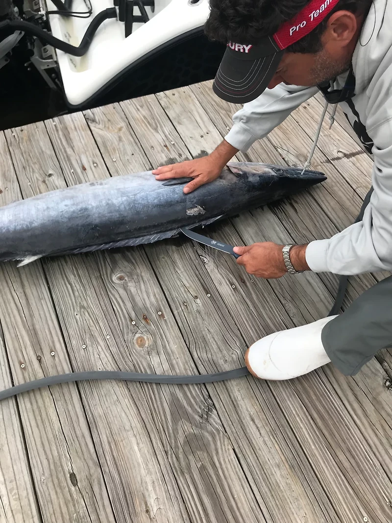 Cuda 7 in Professional Wide Semi-Flex Fillet Knife with Micarta Handle