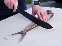 Cuda 10 in Professional Breaking Knife