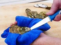 Cuda 3.5 in TI-Bonded Shucking Knife