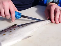 Cuda 4 in T-Bonded Flex Fillet Knife