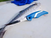 Cuda 4 in T-Bonded Flex Fillet Knife