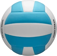 Wilson Pro-Tour Indoor Volleyball