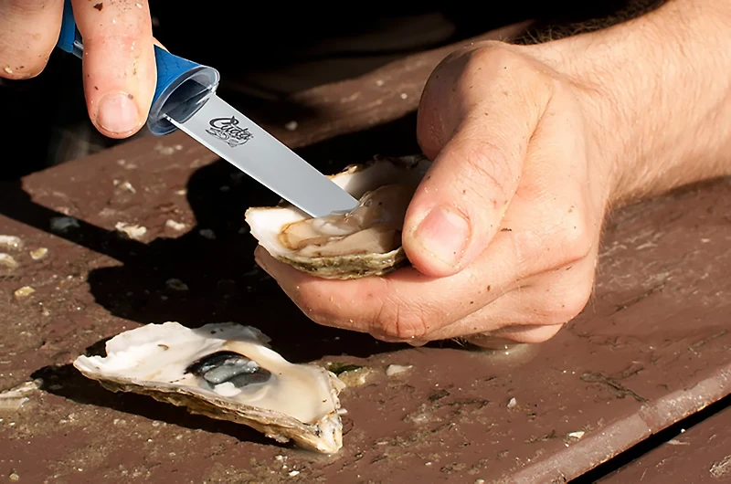Cuda 3.5 in TI-Bonded Shucking Knife