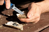 Cuda 3.5 in TI-Bonded Shucking Knife