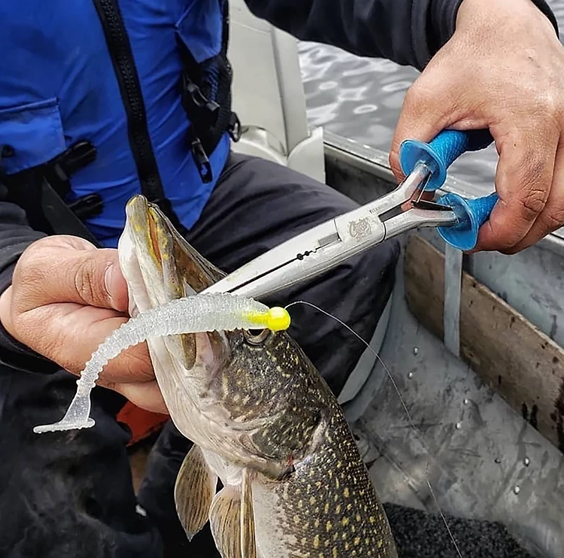 Cuda 10.25 in TI Long Needle Nose Pliers